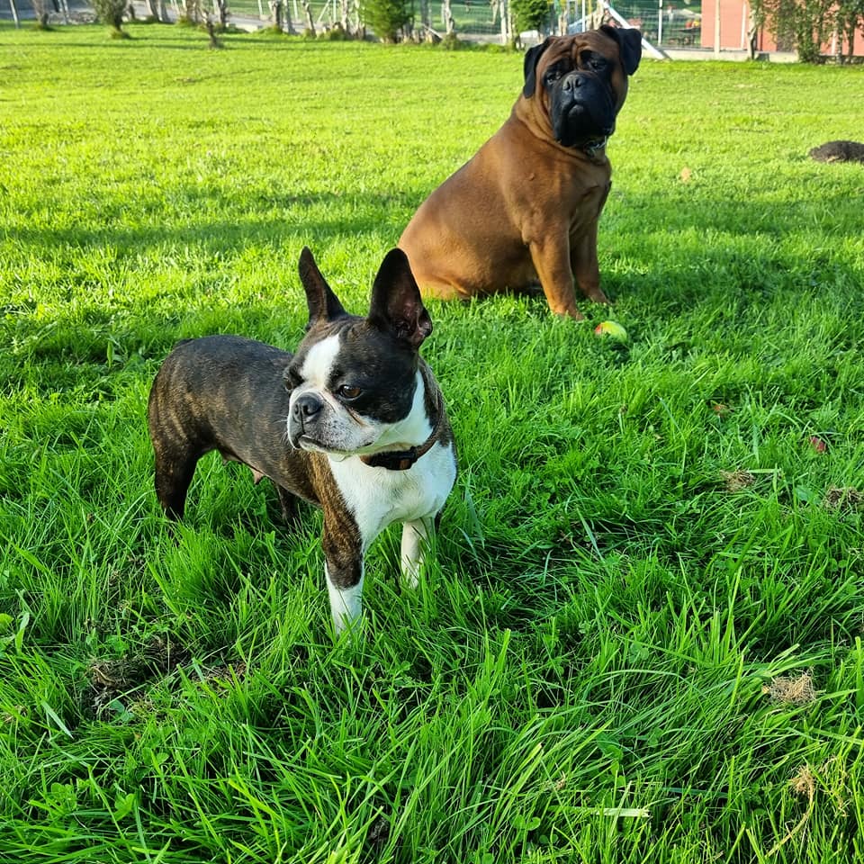 Foto 1 Fotografía 1