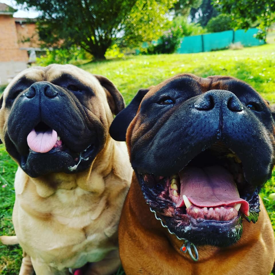 Foto 2 Fotografía 2